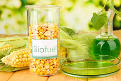 Rink biofuel availability