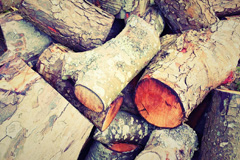 Rink wood burning boiler costs